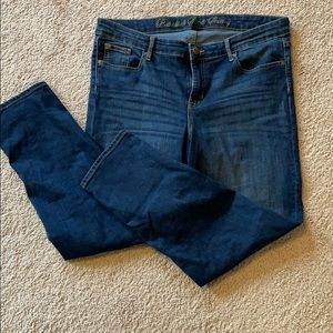 GAP- Women’s Premium Super Skinny Jeans-Sz 16